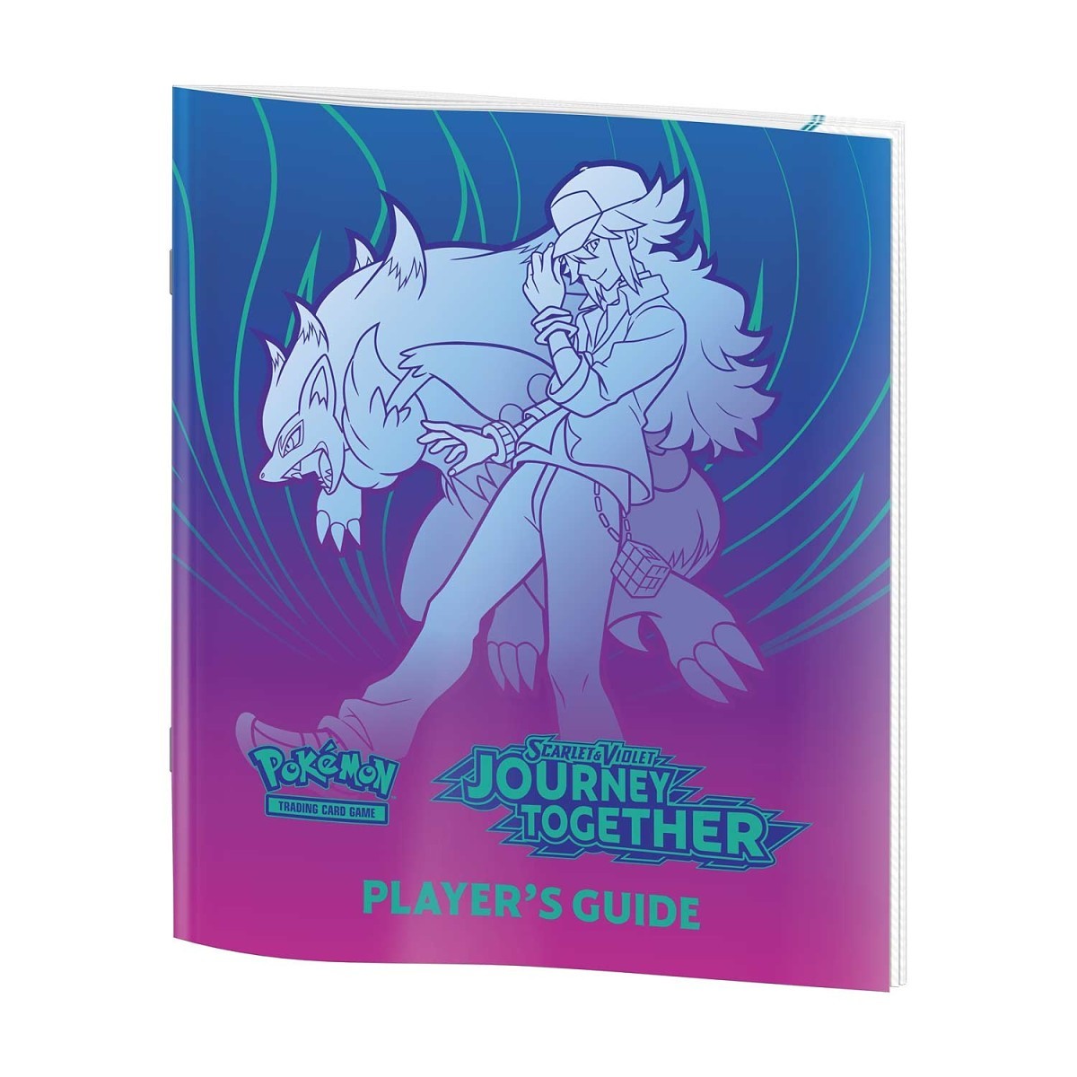 pokemon elite trainer box