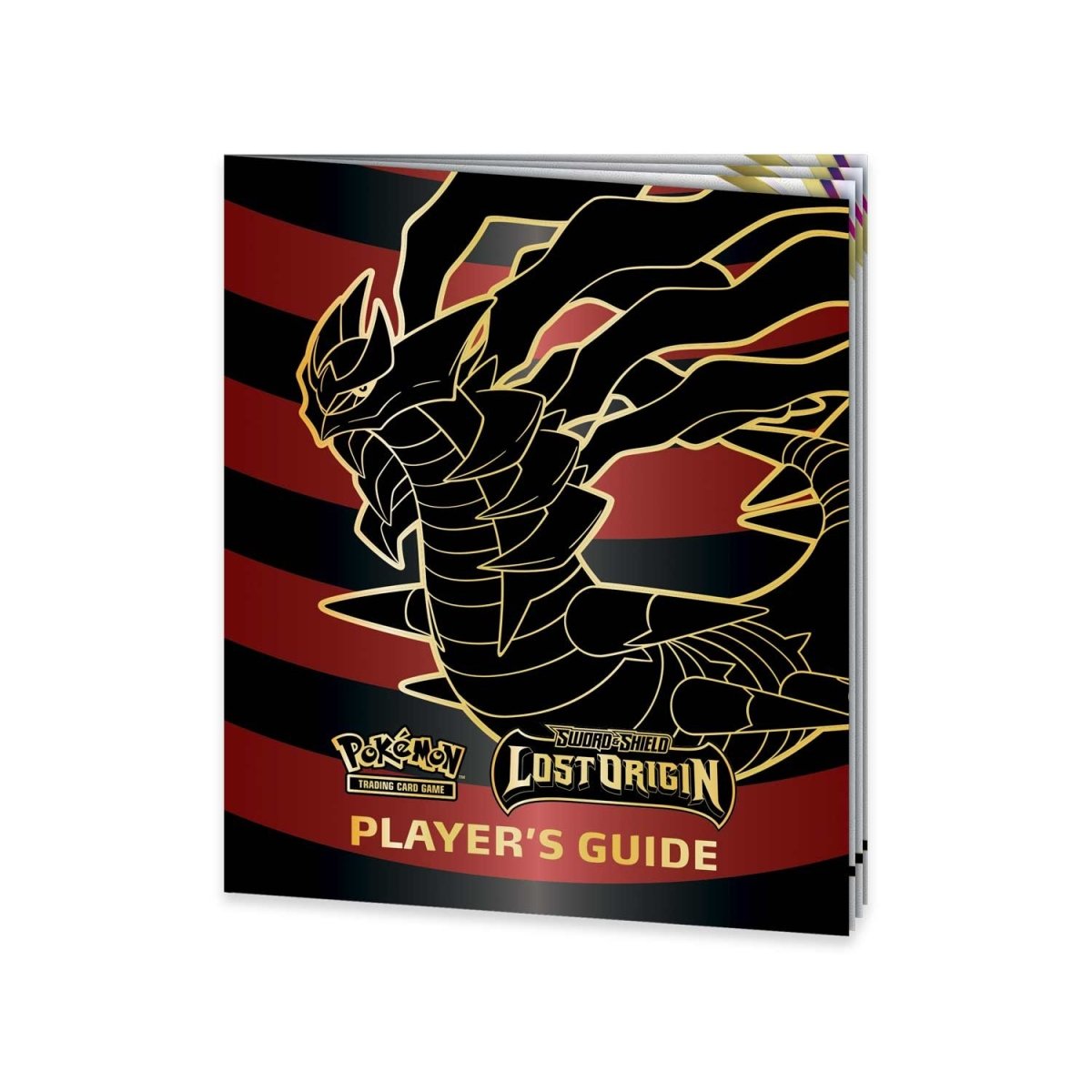 pokemon elite trainer box